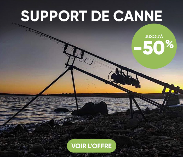 Support de canne f&ecirc;te de la carpe